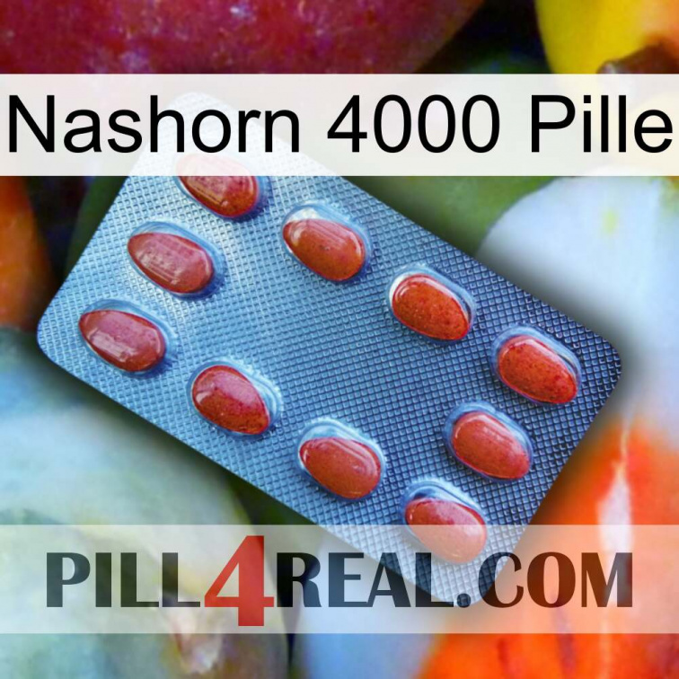 Rhino 4000 Pill 06